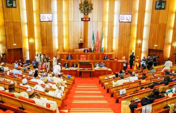 Senate probes killings of 40 in Sokoto