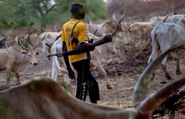 Killer Herdsmen Overrun 4 Benue Council Wards, Kill Over 100 People
